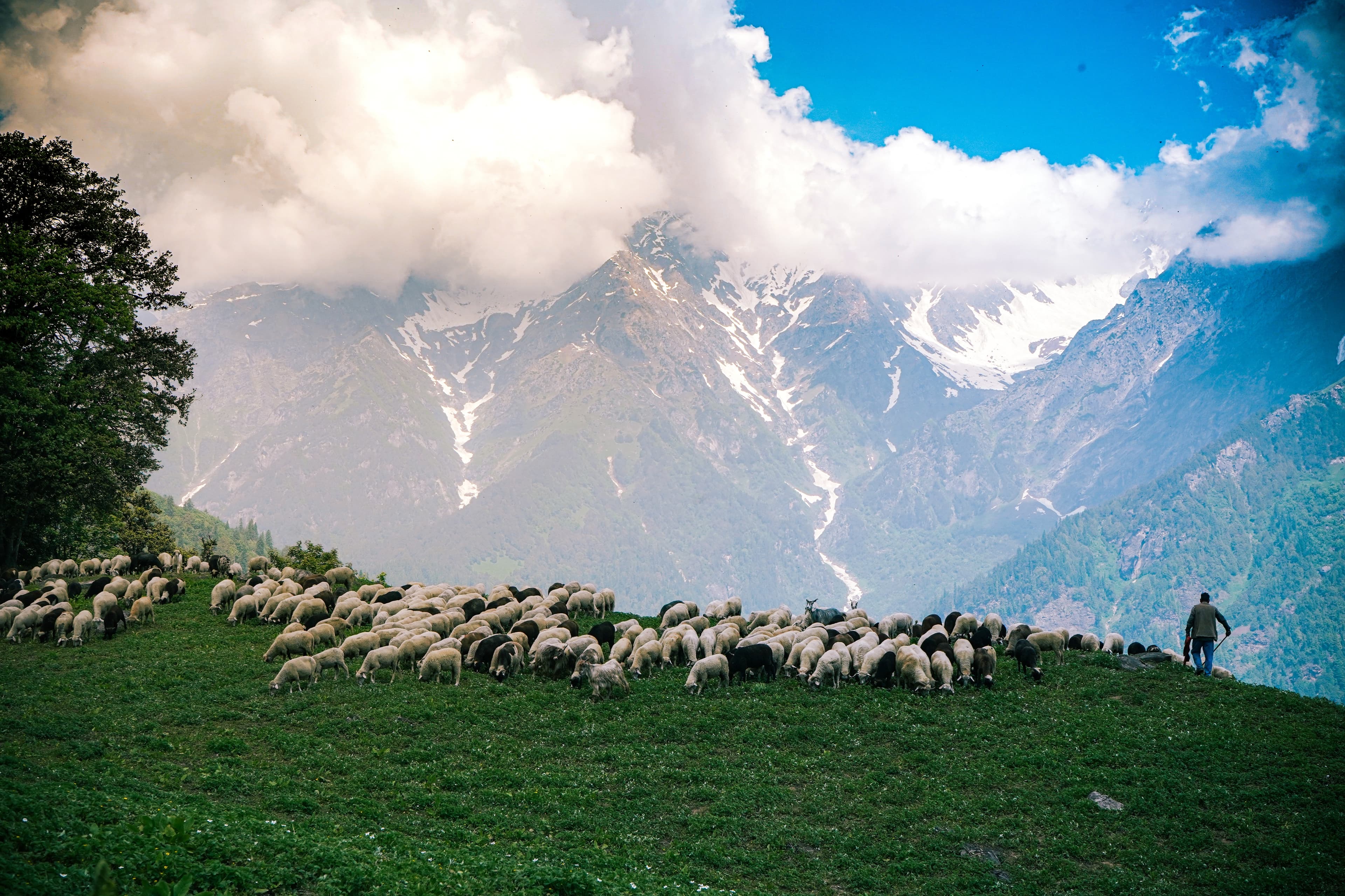 Jammu & Kashmir Adventure